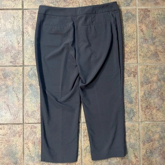 apt 9 capris pants | size 8 | modern fit - Picture 6 of 6